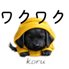 korusuke_20260121172018