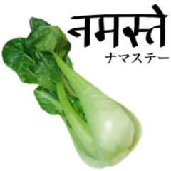Flesh "Bok choy" 10