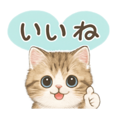 chieko_20260121224651