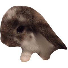 Rabbit_Buu