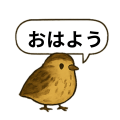 quail stamp (everyday conversation)