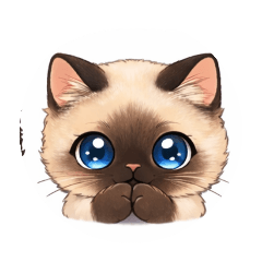 keitan_20260121234817