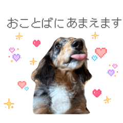 nanako_20260121231804