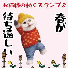 お猫様の動くスタンプ8