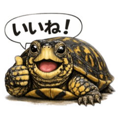 yoshi_20260121235728