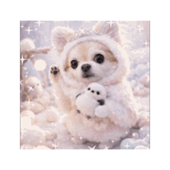 my_20260122123435
