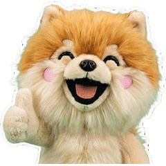 Plush Pomeranian 1st