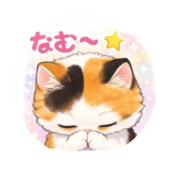 keitan_20260121225243