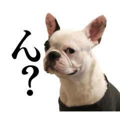 asuka_20260121170656