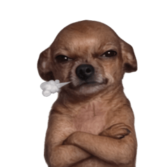 Grumpy Grin Doggo