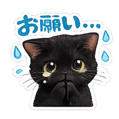 blue sky_20260121160530