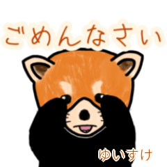 「ゆいすけ」レッサーパンダ日常会話