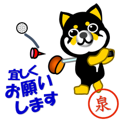 Shiba2 called Izumi which plays golf