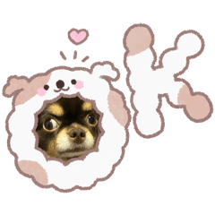 mi-chan_20260121182926