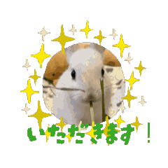 ENTTY_20260121232644