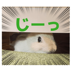 ENTTY_20260122005750