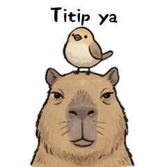 The Real Daily Capybara(Indnesia Ver.)