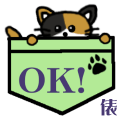 俵「たわら」ポケット三毛猫