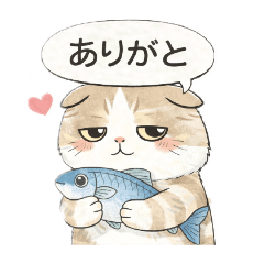 Sweet Cat MomentsS-cottish Fold-