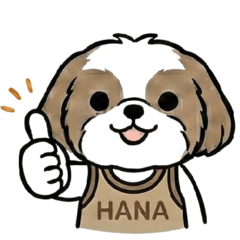 Hanachan the Shih Tzu