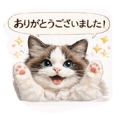 Yoh_Ji.Y_20260122101911