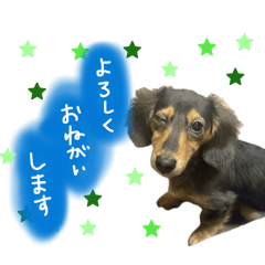 Risa_20260121185707