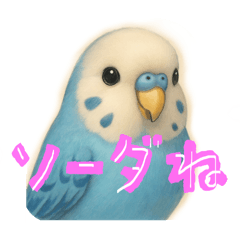 chie_20260121231612