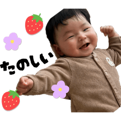 Saku fun fun life