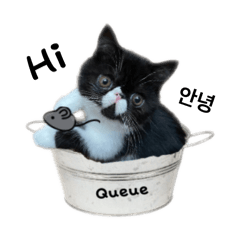 ぼくはQueue(くぅ)