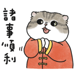 Oba cat34 -tabby cat