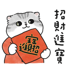 Oba cat34 -silver tabby cat