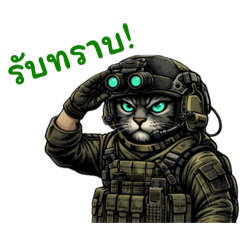 หมอแมวแนวทหาร - 1st