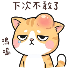 (R)Grumpy cat_ daily