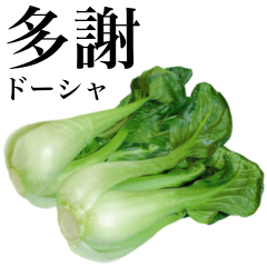 Flesh "Bok choy" 7