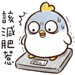 White chicken1_Overweight chicken