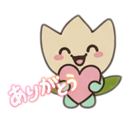 tantan studio_20260121231930