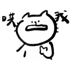 暴躁kidoo小貓！