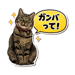 aome neko_20260122005940