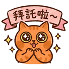 ハッピーにゃんこの日常