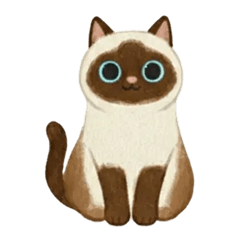 Coco the Siamese: Straight Talk Daily