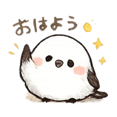 michi_20260120190925