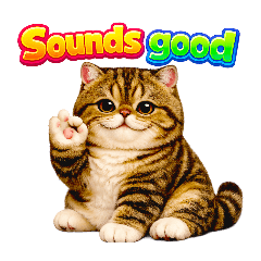 Chubby Cat Reactions Daily English