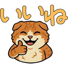 แมวคินคาโลว์ ดุ๊กดิ๊ก  16th