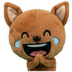 ชิวาวาน้ำตาลดุ๊กดิ๊ก  8th