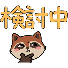 โคอาติสุภาพดุ๊กดิ๊ก  24th