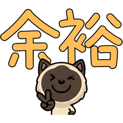 แมวซีลพอยท์ ขยับได้  4th