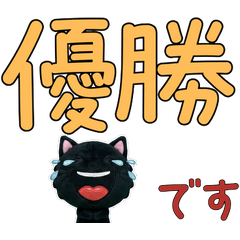 แมวดำสุภาพขยับ 12th