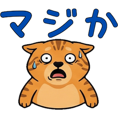 แมวออซิแคต สุภาพดุ๊กดิ๊ก  18th