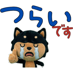 ชิบะดำสุภาพขยับ  12th