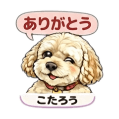 nakaha_20260120150245